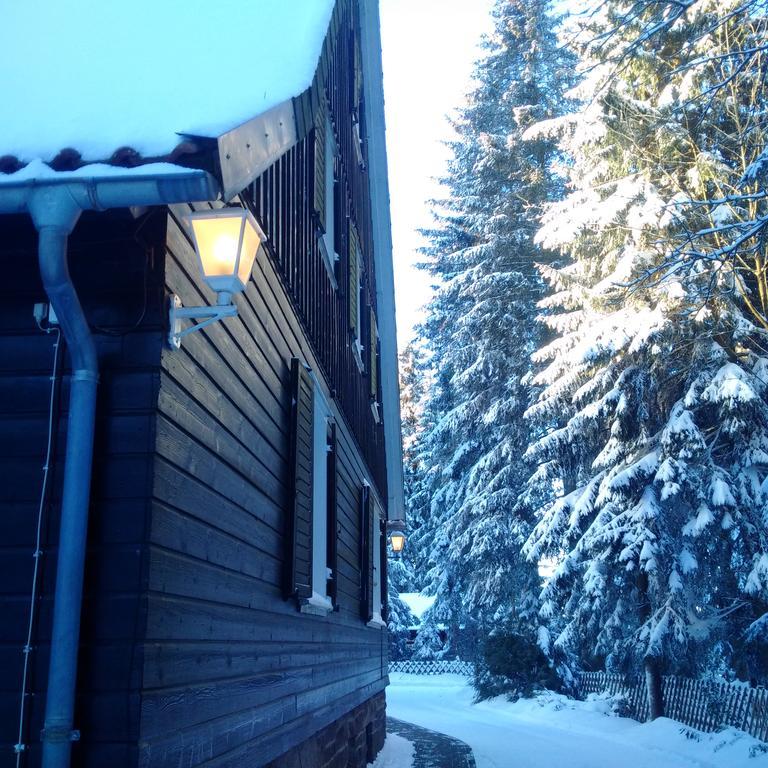 The Cabin - Harz National Park Hotel Sankt Andreasberg Exterior foto